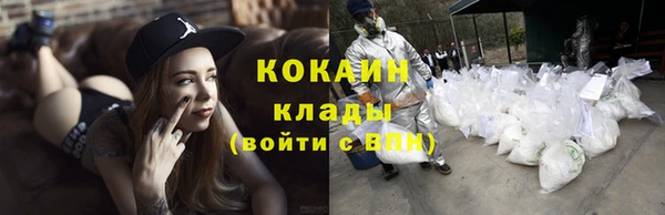 соль ск Алексин