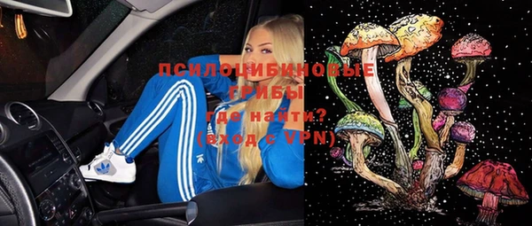 соль ск Алексин