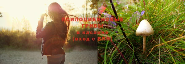 соль ск Алексин