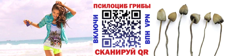 MEGA ссылка  Салехард  Галлюциногенные грибы Psilocybine cubensis 